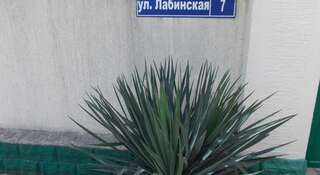 Гостевой дом Guesthouse Valli Геленджик Номер "Стандарт"-99