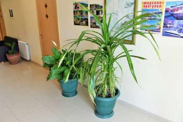 Гостевой дом Guesthouse Valli Геленджик-86